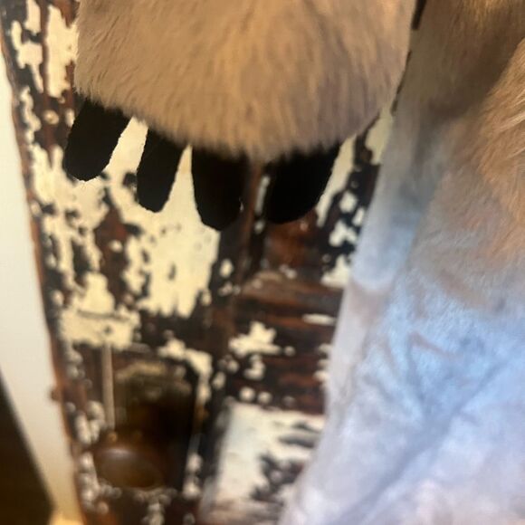 Koala Kutie Infant Halloween Costume. 18-24 mos. - Picture 6 of 10